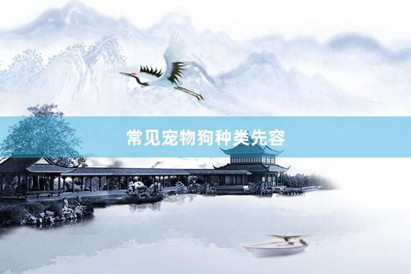 常见宠物狗种类先容