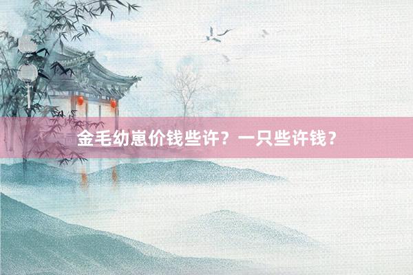 金毛幼崽价钱些许？一只些许钱？